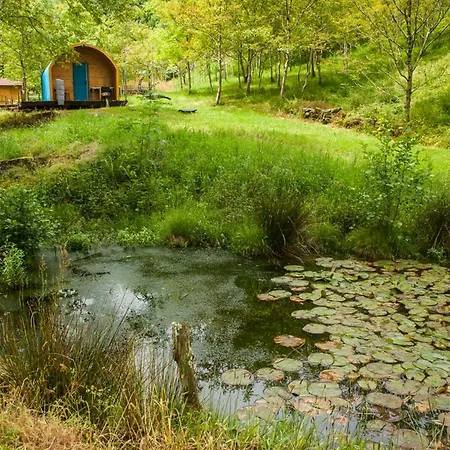 Sociedad Limitada Alonos