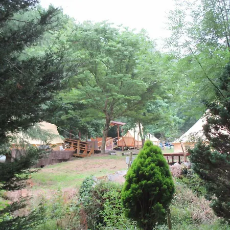 Sociedad Limitada * Алоньос