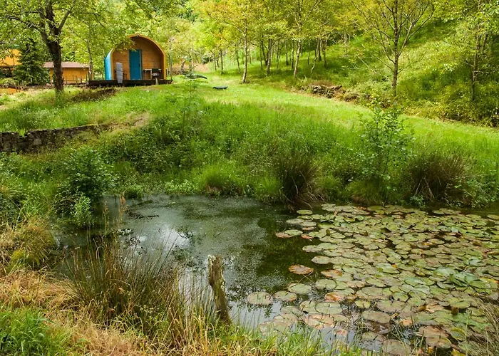 Sociedad Limitada Alonos