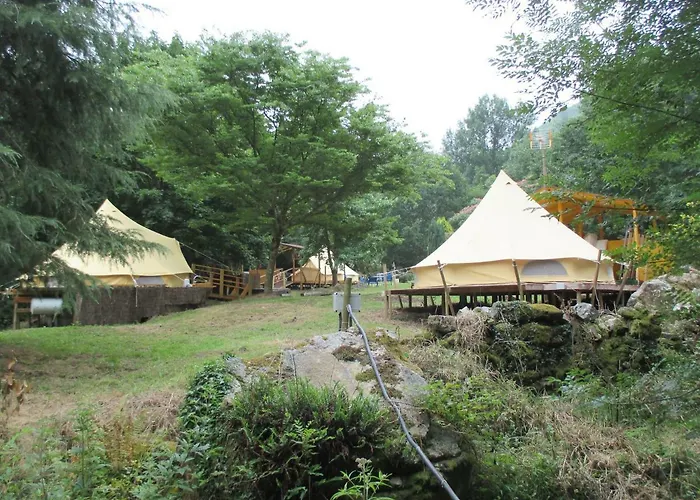 Sociedad Limitada * Alonos