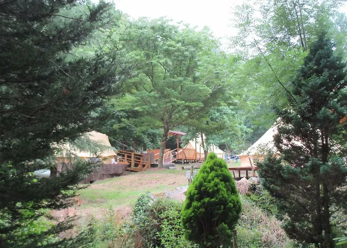 Sociedad Limitada * Alonos