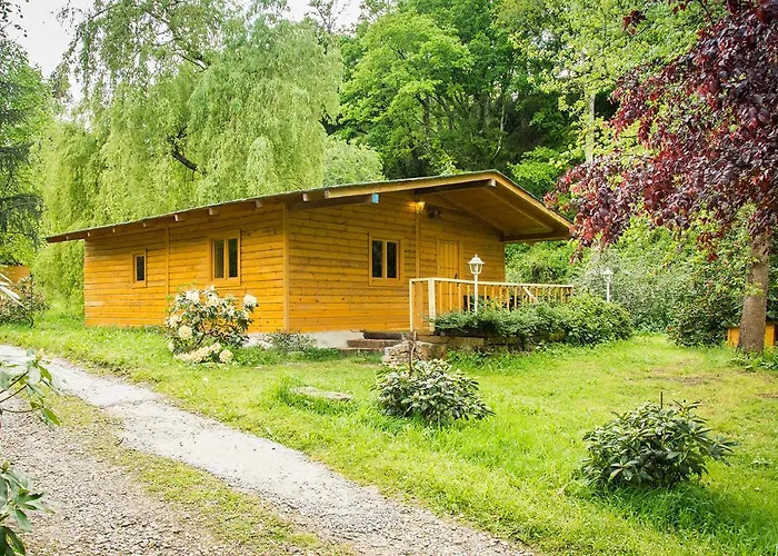 Sociedad Limitada * Alonos